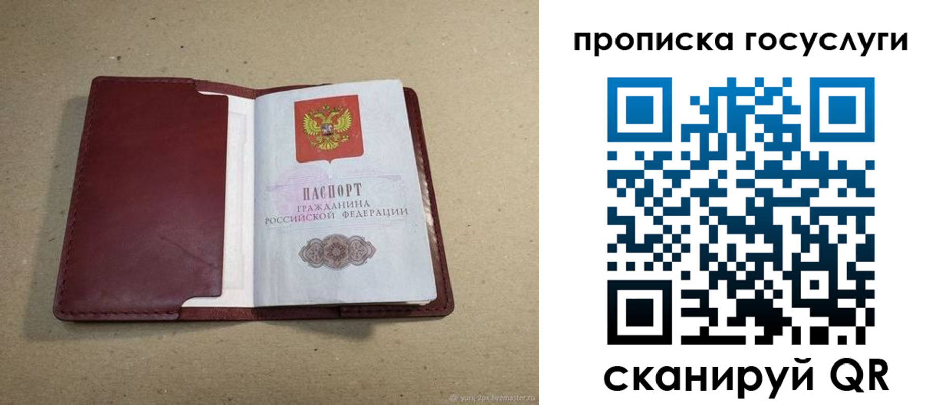 прописка поиск в Ливны